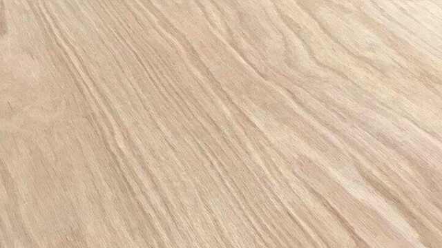 Eucalyptus plywood