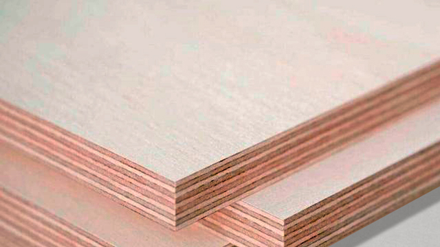 Baltic Birch Plywood