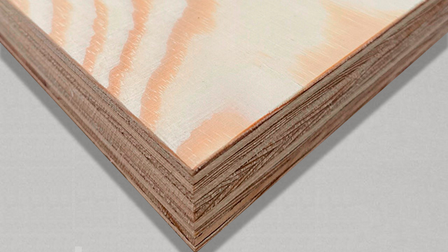 Pine Plywood