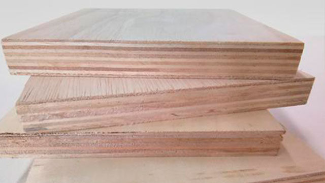 Baltic Birch Plywood