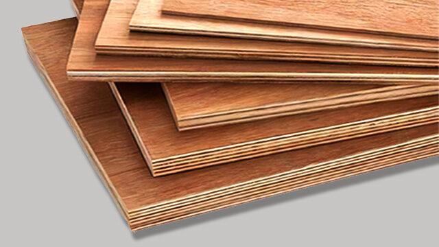 Baltic Birch Plywood