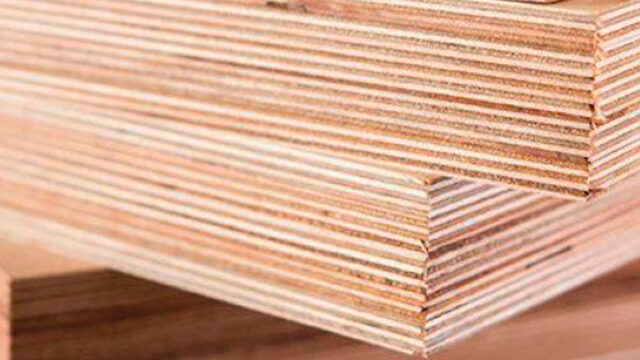 Baltic Birch Plywood