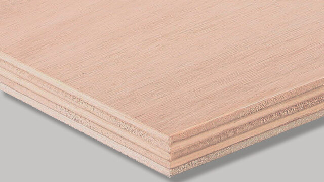 Eucalyptus plywood
