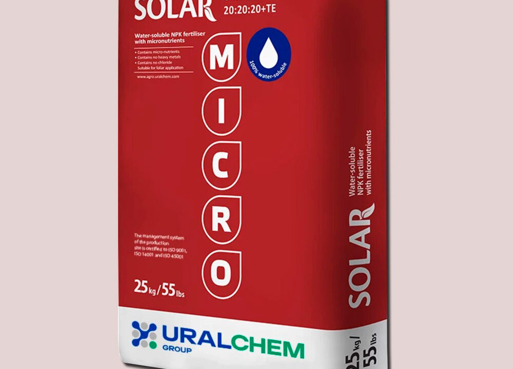https://www.crystalelement-ag.com/wp-content/uploads/2024/06/universal202020-1000x720.jpg